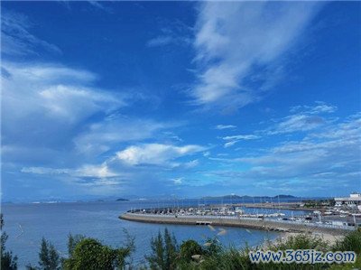 畅游茶海，尽享品茗之旅